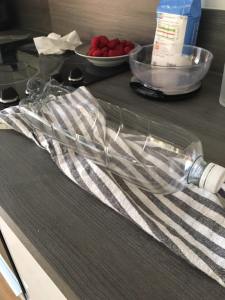 16708229_10210556498701168_141111993556687317_n